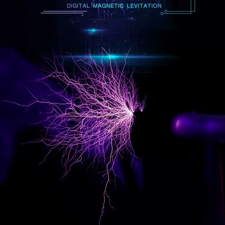 Tesla Coil 220V Portable 1.5kg - Audio Music Generator Free 评论和价格