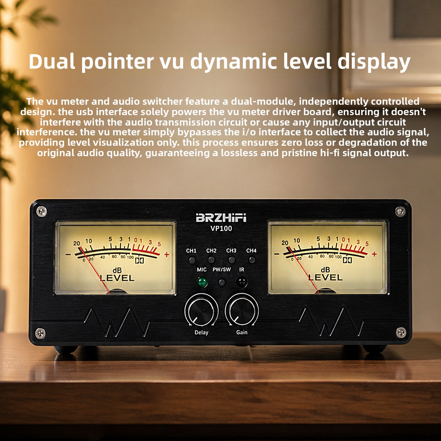 BRZHIFI 2027 new VP100 music l - Audio Without Music 评论和价格